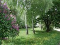 /album/fotogalerie/a00341-jpg/